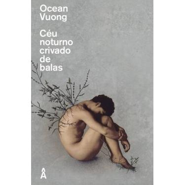 Imagem de Livro - Céu noturno crivado de balas