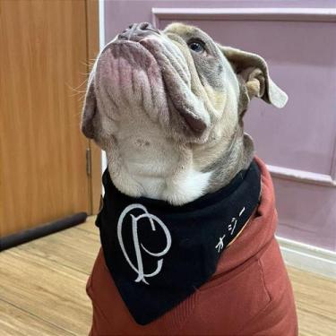 Imagem de Bandana Pet Corinthians + Nome Japonês - Mundial 2012 - Acessório Eleg