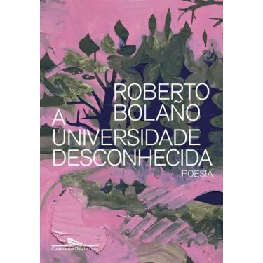 Imagem de Livro - A Universidade Desconhecida