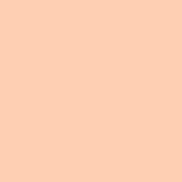 Imagem de Papel Color Plus - Rosa - Fidji (10UN)