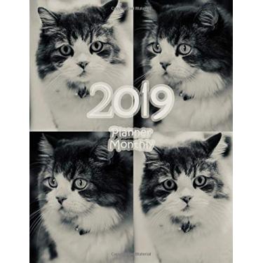 Imagem de 2019 planner monthly