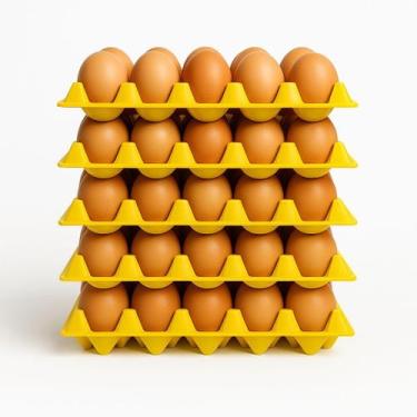 Imagem de Kit 5 Cartela De Ovos Plástica Bandeja 30 Ovos Higiênica - Global Cont