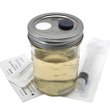 Imagem de Kit de cultura líquida de cogumelos – Solução de germinação de esporos e aumento de micélio/Novo lançamento (236 ml OU 150 ml)