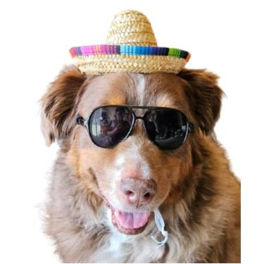 Imagem de Conjunto de óculos de sol C22 para cães + chapéu de palha mexicano sombrero raças médias 8 a 18 kg (preto aviador + chapéu de palha mexicano)