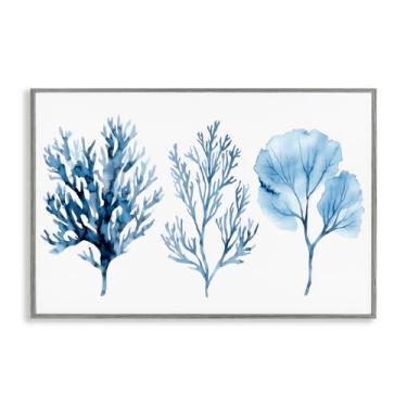 Imagem de Stupell Industries Blue Coral Types Trio Gray Framed Giclee Art, design by LSR Design Studio, 12 x 18