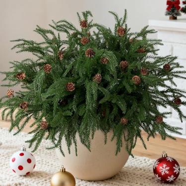 Imagem de Ammyoo 10 hastes de pinheiro norfolk de Natal, 43 cm, ramos de pinheiro norfolk artificiais com pinha, palitos de vegetação de toque real falsos para vasos, decoração de casa, artesanato, presente