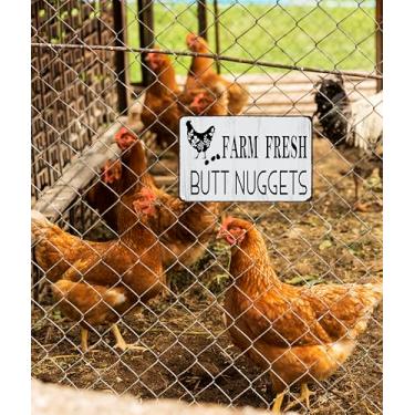 Imagem de Placa de lata engraçada de frango Dcor Farm Fresh Butt Nuggets para casa fazenda galinheiro fazenda cozinha jardim decoração 8 x 12 polegadas (3106)