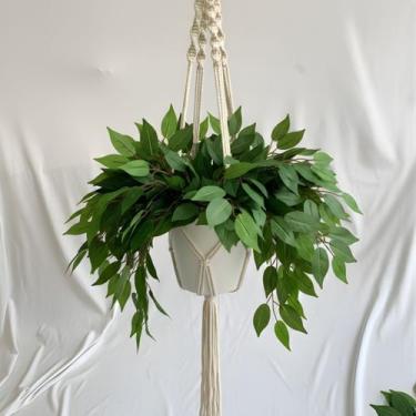 Imagem de 7 Hastes de Fícus planta artificial uma ótima opção para arranjos e pr