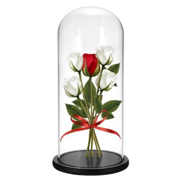 Imagem de JUXYES Cloche de cúpula de vidro de 13,8 polegadas com base de madeira preta, cúpula de vidro transparente cloche para terrário, frasco de vidro cloche de vidro para exibição de plantas, boneco