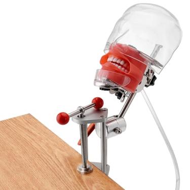 Imagem de 4E 4E'S USA Manequim De Treinamento Bancada Odontológica (28 Dentes): Modelo Cabeça Fantasma Com Braçadeira Mesa, Base, Máscara Facial E Tubo Drenagem, Ideal Para Demonstração Educacional