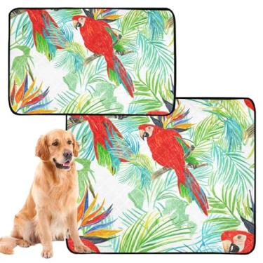 Imagem de TSENQUE Papagaios vermelhos exuberantes plantas tropicais para cães de estimação almofadas laváveis para gatos de estimação almofadas de xixi reutilizáveis absorventes para cães tapete de cercadinho