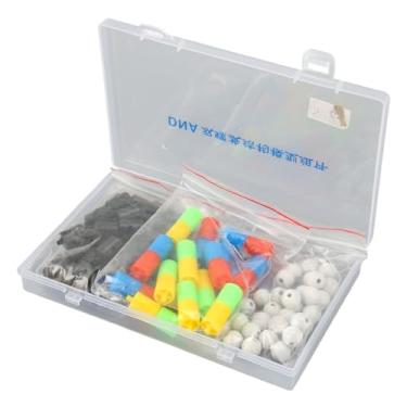 Imagem de Kit de Moldagem de DNA, DNA Educacional DUDE STRUCTURA MONDOR BIOLOLÓGICA Ferramenta de Ensino de Popularização da Ciência para Estudantes, Brinquedos para Educação Infantil