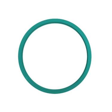 Imagem de Guarnição / Anel De Vedação Autoclave Bioex 12/ 21 Lts Verde