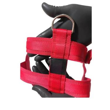 Imagem de Peitoral Coleira + Guia Para Cachorro Resistente Seguro Confortável Pet(Vermelho,P)
