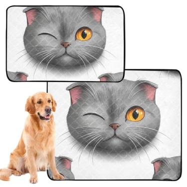 Imagem de TSENQUE Cute Grey Scottish Fold Almofadas laváveis para xixi para cães, almofadas reutilizáveis para animais de estimação, gatos, filhotes, penico, absorvente à prova d'água, tapete de cercadinho para