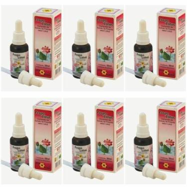Imagem de Apis Flora Extrato De Própolis Lótus 30ml (kit C/06)