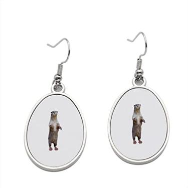 Imagem de Brinco de lontra lisa Lutrogale Perspicillata – Brinco de lontra revestida lisa Lutrogale Perspicillata para meninas – Presente de festa de aniversário dos namorados
