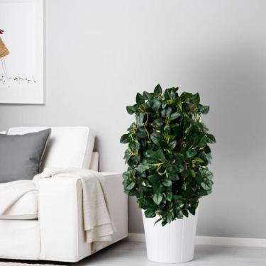 Imagem de 18 Arranjos de Peperômia Artificial com Folhas Detalhadas para Decoraç