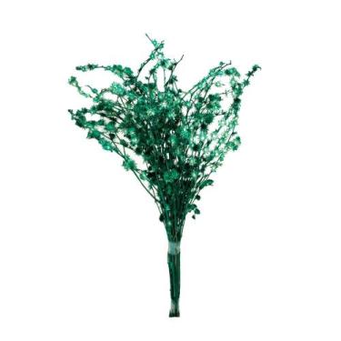 Imagem de Rosinha Verde Desidratado - Pense Flores