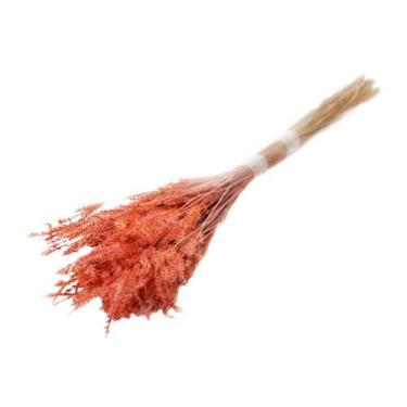 Imagem de Buque Pingo Neve Laranja Desidratado - Pense Flores
