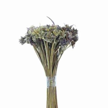 Imagem de Cebolão Lilás Desidratado - Pense Flores
