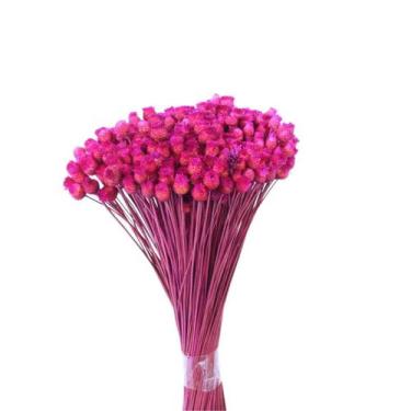 Imagem de Botão Jazida Pink Desidratado - Pense Flores