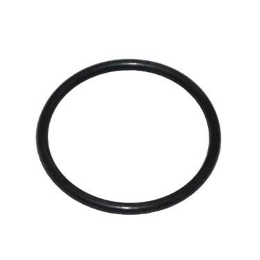 Imagem de Anel Vedação Extensão Jacto J7000