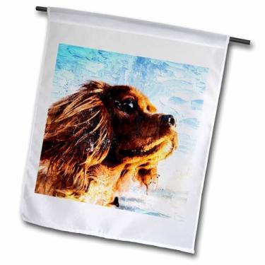 Imagem de 3dRose fl_290737_1 Bandeira, Retrato do Cavalier King Charles Spaniel Dog com céu