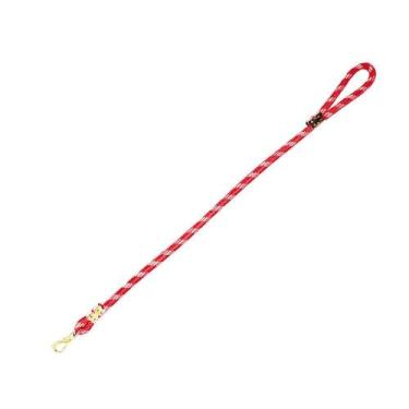 Imagem de Guia de Corda Roliça Grossa Furacão Pet 1m 16mm Vermelho