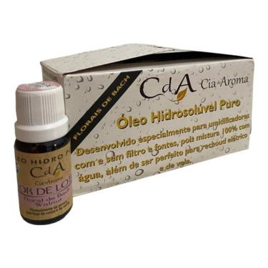 Imagem de Kit Box 10 Óleos Hidrossolúvel 10Ml - Escolha O Seu Aroma