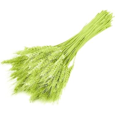 Imagem de Tijolos de Trigo 100 Peças Espiga Natural Grãos para Arranjo Mesa Jantar em Casa Arte Flores Decoração Casamento