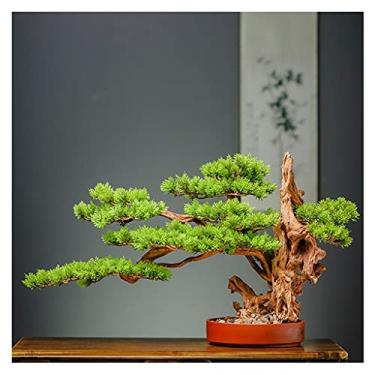 Imagem de Plantas artificiais, bonsai falso, pinho, receptivo, artificial, bonsai, zen, plantas verdes, ornamentos, estilo chinês, árvore falsa, vaso, sala de estar, hotel, loja, decoração, planta de casa