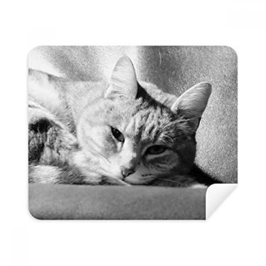 Imagem de Pano de limpeza de imagem de gato cinza puro animal limpador de tela 2 peças tecido de camurça