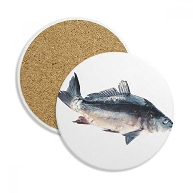 Imagem de Caneca de copo de comida para atividades de peixes do oceano Caneca de proteção de mesa Pedra absorvente