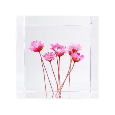 Imagem de Bon Cube Peso de papel em cubo de acrílico com flores decorativas preservadas em 3D, cubo de 1,97 cm 198 g, flores reais rosa (assemelha-se a margarida), decoração de prateleira de mesa estética e