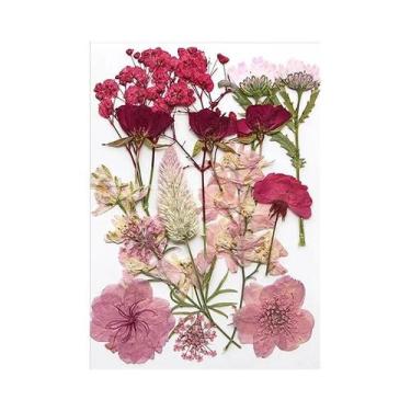 Imagem de Flores Naturais Secas Prensadas Para Resina Epóxi, Artesanato DIY, Nai