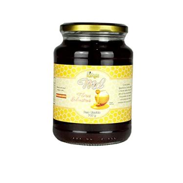 Imagem de Mel Silvestre Puro 100% Natural Com Sif - Pote De 700g