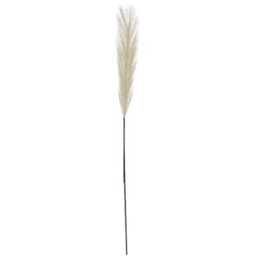 Imagem de CAPIM DOS PAMPAS PLUMA (BRANCO) 75cm - Flor Arte