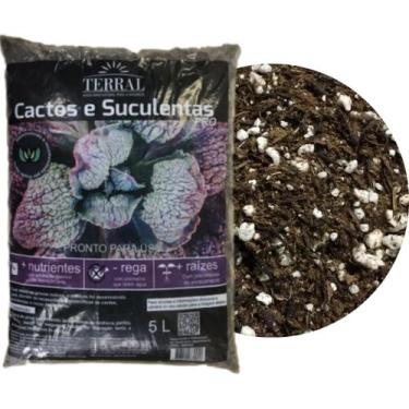 Imagem de Substrato Cactos E Suculentas Rosa Do Deserto Pro 5 litros- Terral 