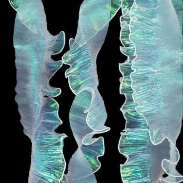 Imagem de Fita de babados branca iridescente de 3,5 m - Acabamento em tecido de renda de tule de organza plissada, borda decorativa de renda com babados para costura, vestido, bolsa, fantasia e decoração de