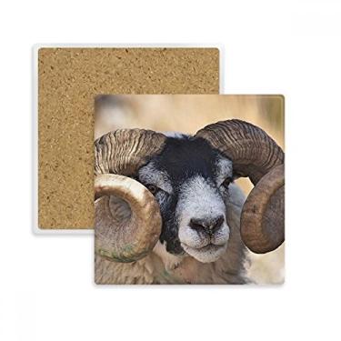 Imagem de Picture Terrestre Organismo Selvagem Porta-copos Quadrado Porta-copos Caneca Suporte Subplaca Pedra Isolamento