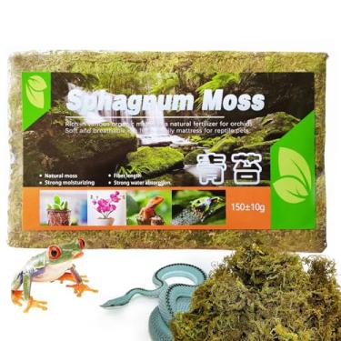 Imagem de BNOSDM 147 g musgo esfagno natural para répteis, substrato de musgo vivo seco para répteis de 7 litros para plantas de terrário, sapos, turfa, musgos para leopardo, lagartixas, cobras, lagartos