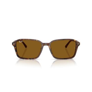 Imagem de Óculos de Sol Ray-Ban Raimond 0RB2231 141833 Tam 58 / Marrom - Lentes Marrom
