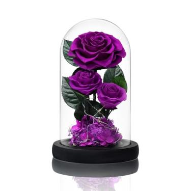 Imagem de Vryblos 3 flores preservadas rosas em cúpula de vidro com luz para decoração de A Bela e a Fera Real Rosas Eternas para mulheres, mãe, aniversário, rosas roxas para sempre, para entrega, para esposa