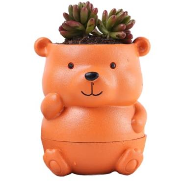 Imagem de Vasos de Plantio para Suculentas | Decoracao Segura para Planta Cacto Orquidea - Vasos Para Plantas E Flores De Mesa - Para Família E Amigos Mulheres Entusiastas Interior Exterior Casa Jardim Cactos E