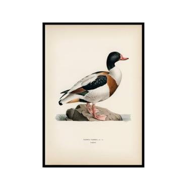 Imagem de Impressão de pato vintage rústico Pato Pato Pato Lago pôster de arte de parede retrô natureza pintura em tela imagens decoração de quarto de fazenda (SKU7,8x30,5 cm = (20 x 30 cm), moldura preta)