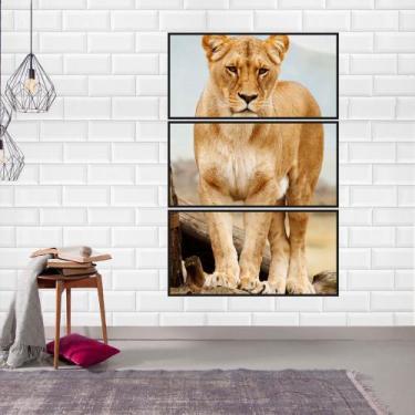 Imagem de Quadro Canvas Decorativo para Sala 3 Telas Leoa 55x1,10 - LUGGUI ART. 