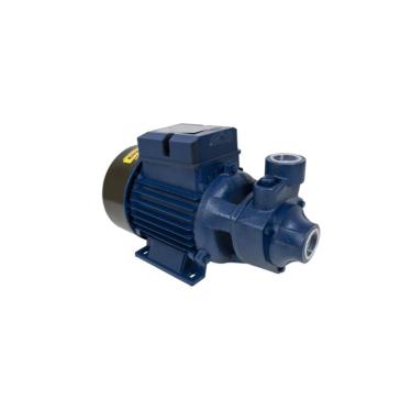 Imagem de Motobomba Standard Periférica 1/2cv 60Hz Bivolt ICS-50AB Eletroplas