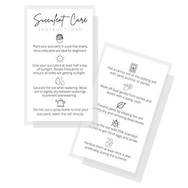 Imagem de Cartões de instruções de cuidados com suculentas | Tamanho do cartão de visita impresso físico 5 x 8,9 cm | Cuidados com plantas | Design branco e preto