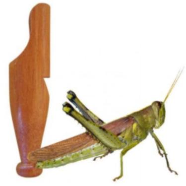 Imagem de Apito Grilo Apito Modelo 23